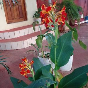 Habitación Cuádruple